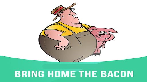 معنی فارسی اصطلاح: Bring home the bacon