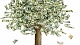 معنی فارسی اصطلاح: Money doesn't grow on trees