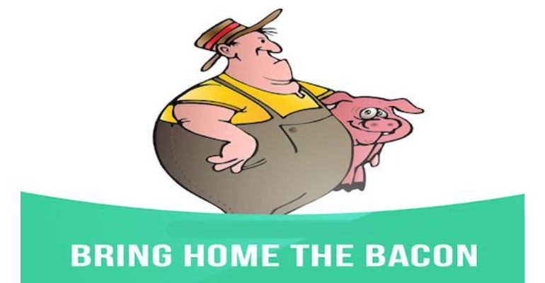 معنی فارسی اصطلاح: Bring home the bacon