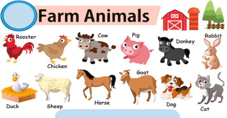 لغات پایه زبان انگلیسی -حیوانات مزرعه به انگلیسی (Farm animals)