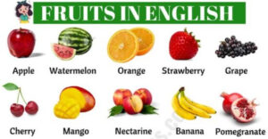 لغات پایه زبان انگلیسی -میوه به انگلیسی (Fruit)